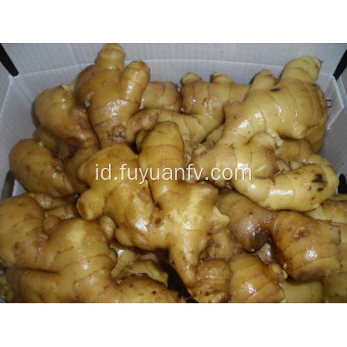 150g dan bawang putih segar